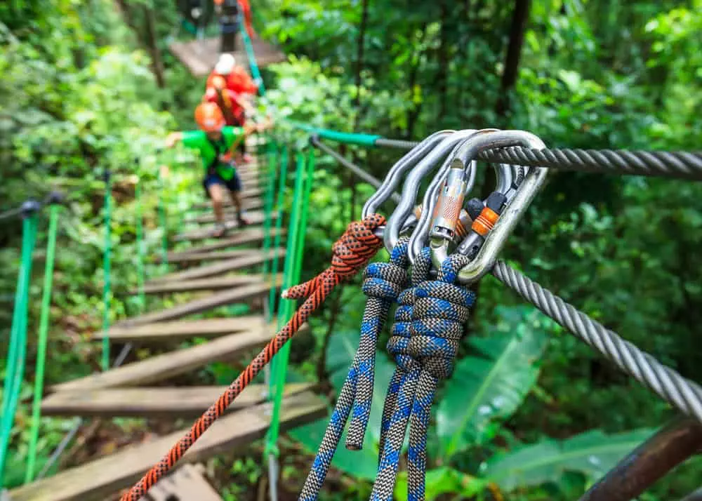 Legacy Mountain Ziplines